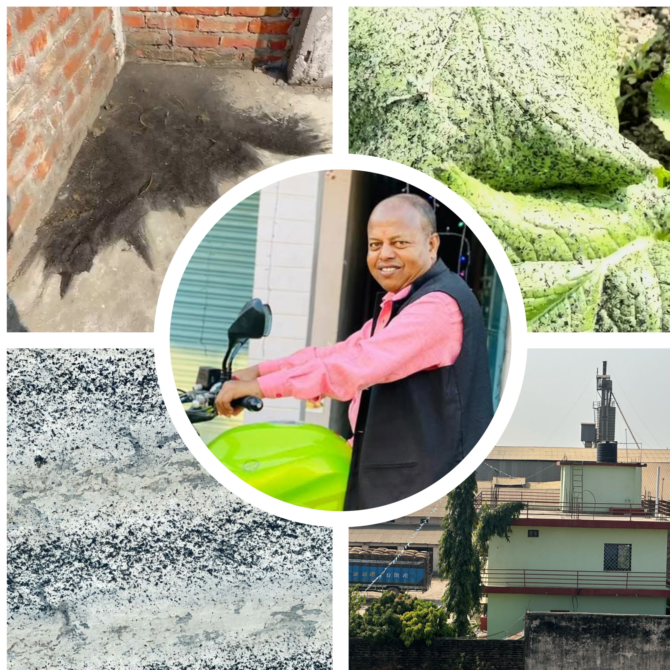 नियामक निकायलाई प्रलोभनमा पारी मिल संचालन, प्रदूषणले स्थानीयलाई सास्ती